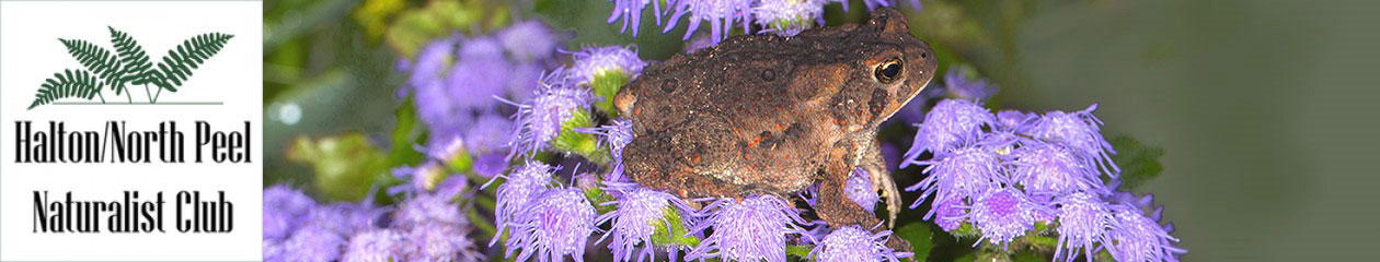 Halton North Peel Naturalist Club