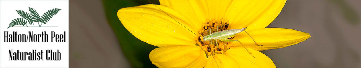 Halton North Peel Naturalist Club