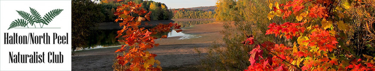 Halton North Peel Naturalist Club