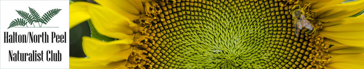 Halton North Peel Naturalist Club