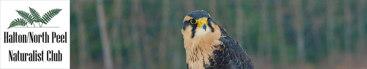 Halton North Peel Naturalist Club
