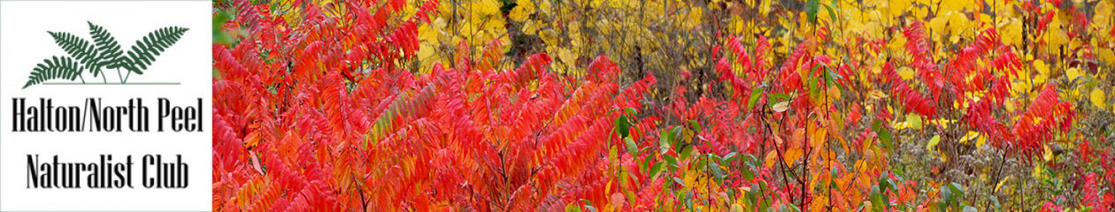 Halton North Peel Naturalist Club
