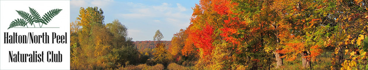 Halton North Peel Naturalist Club