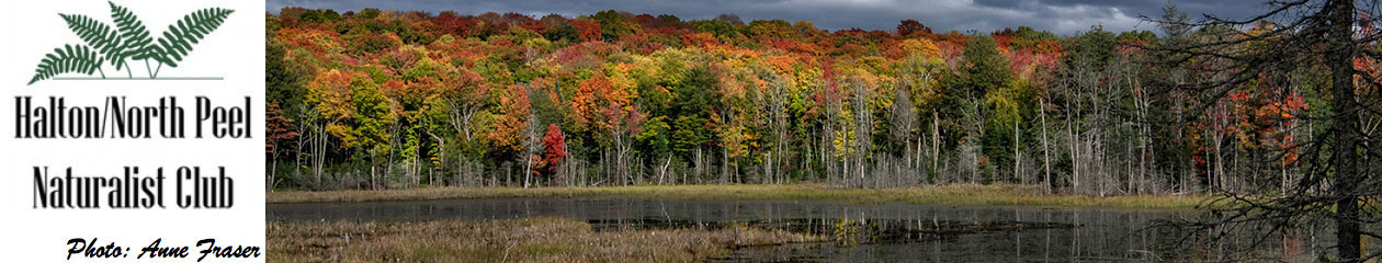 Halton North Peel Naturalist Club