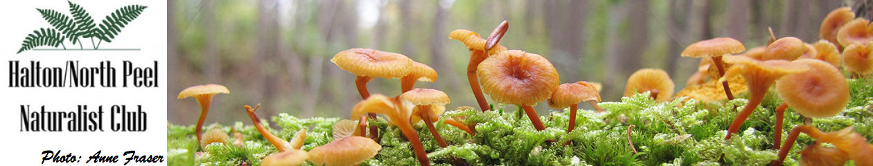 Halton North Peel Naturalist Club