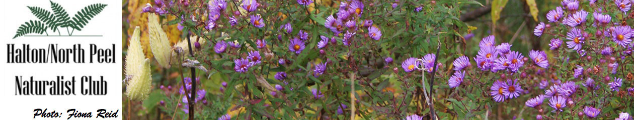 Halton North Peel Naturalist Club