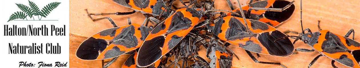 Halton North Peel Naturalist Club