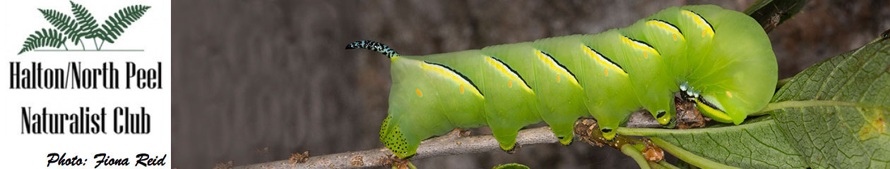 Halton North Peel Naturalist Club