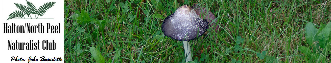 Halton North Peel Naturalist Club