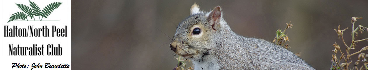 Halton North Peel Naturalist Club