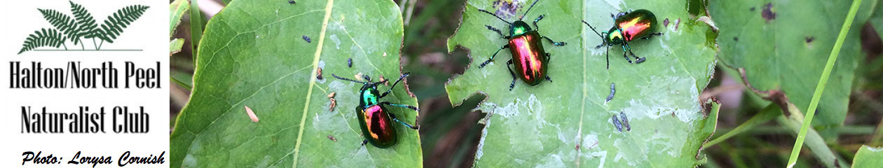 Halton North Peel Naturalist Club