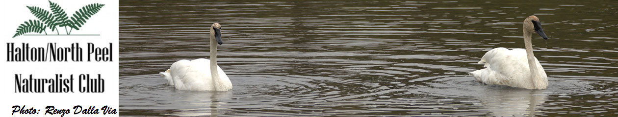 Halton North Peel Naturalist Club