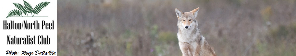 Halton North Peel Naturalist Club