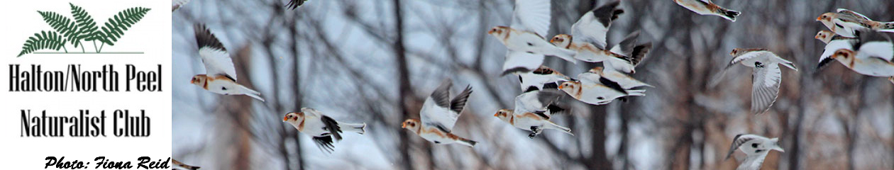 Halton North Peel Naturalist Club