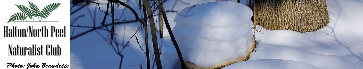 Halton North Peel Naturalist Club