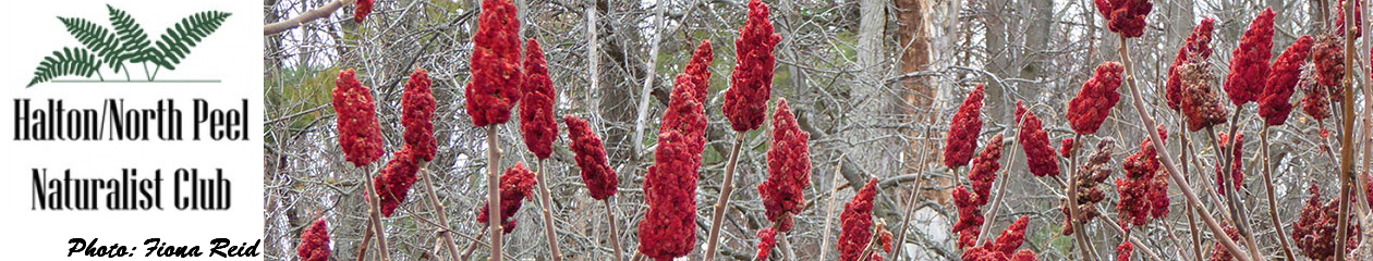 Halton North Peel Naturalist Club