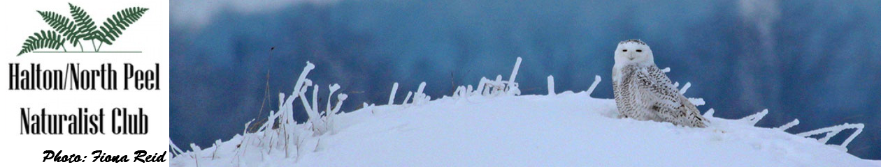 Halton North Peel Naturalist Club