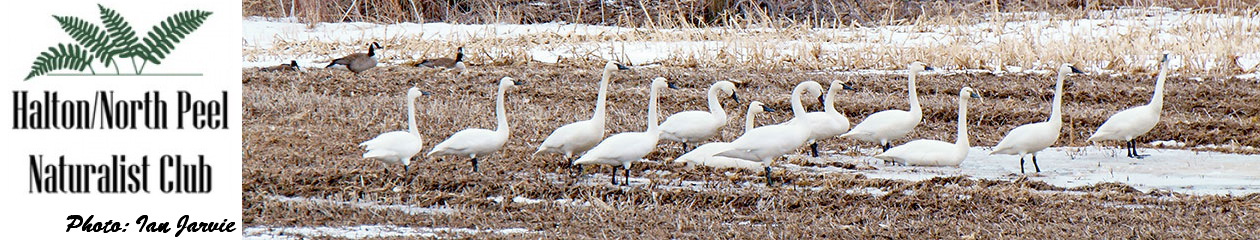 Halton North Peel Naturalist Club
