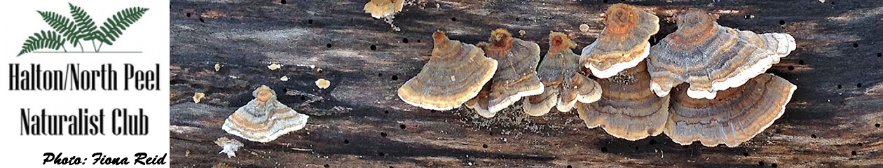 Halton North Peel Naturalist Club