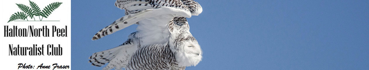 Halton North Peel Naturalist Club