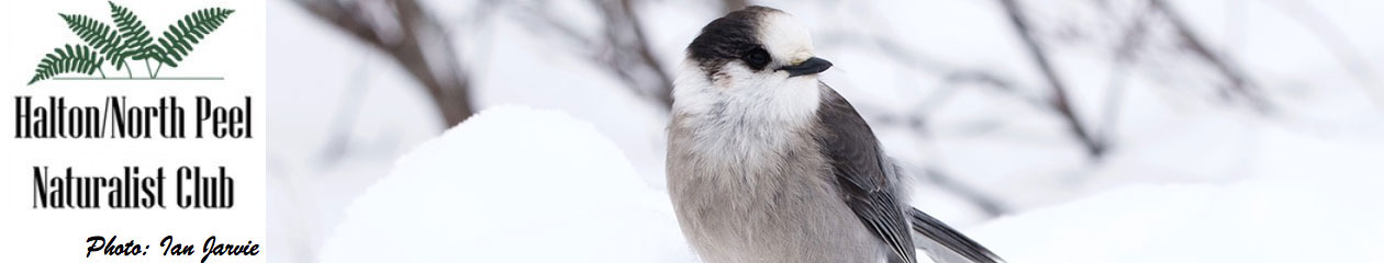 Halton North Peel Naturalist Club