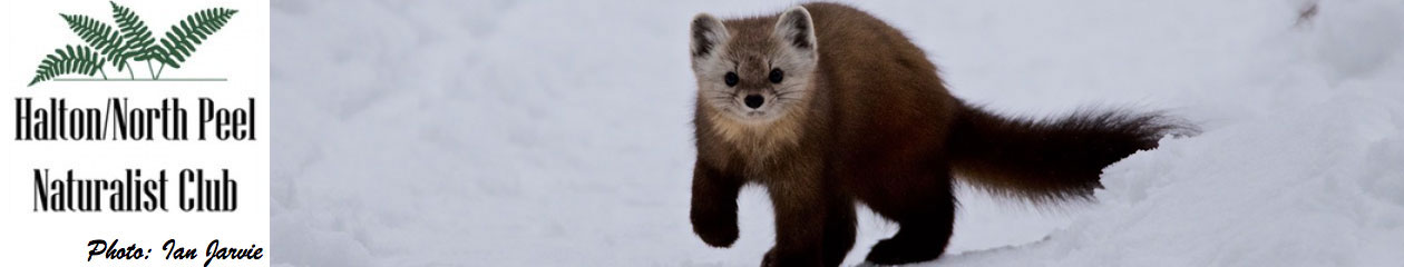 Halton North Peel Naturalist Club