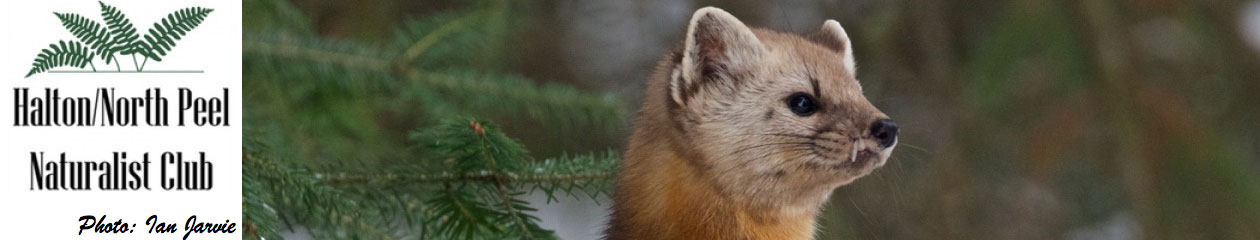 Halton North Peel Naturalist Club