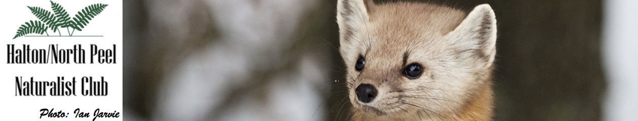 Halton North Peel Naturalist Club