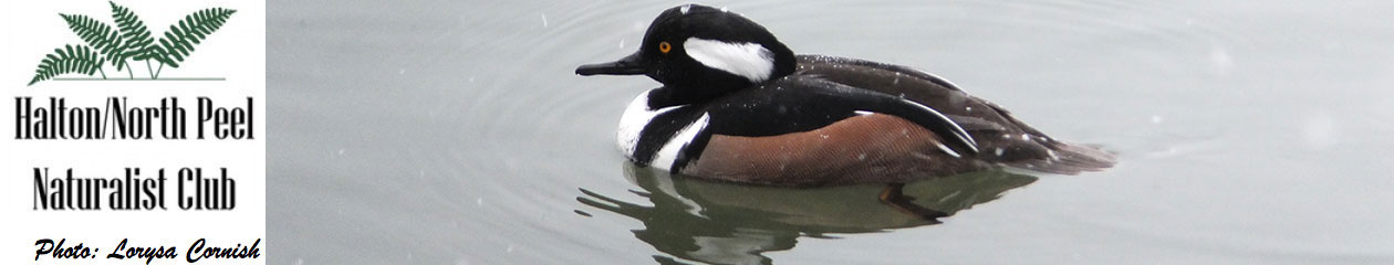 Halton North Peel Naturalist Club