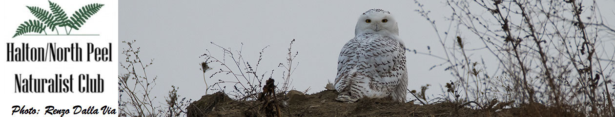Halton North Peel Naturalist Club