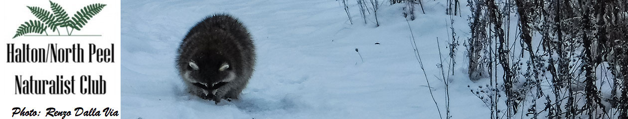 Halton North Peel Naturalist Club