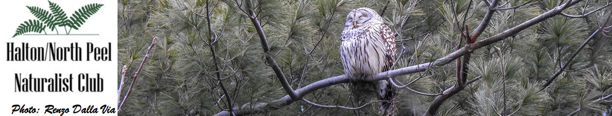 Halton North Peel Naturalist Club