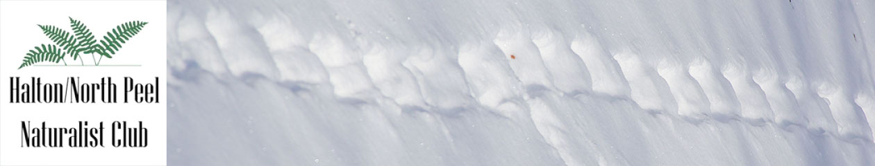 Halton North Peel Naturalist Club
