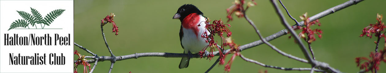 Halton North Peel Naturalist Club