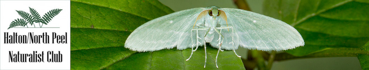 Halton North Peel Naturalist Club