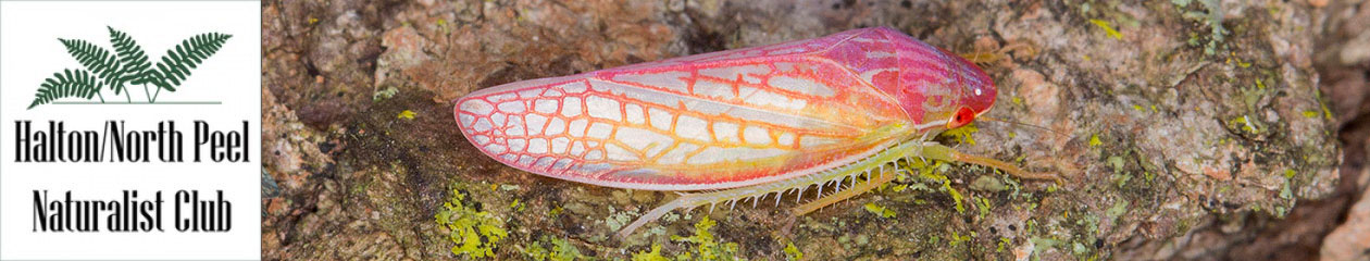 Halton North Peel Naturalist Club