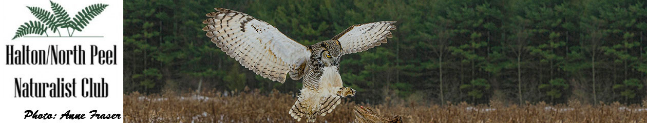 Halton North Peel Naturalist Club