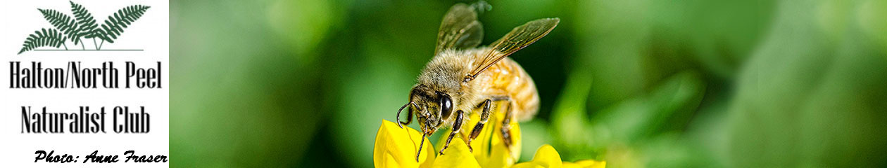 Halton North Peel Naturalist Club