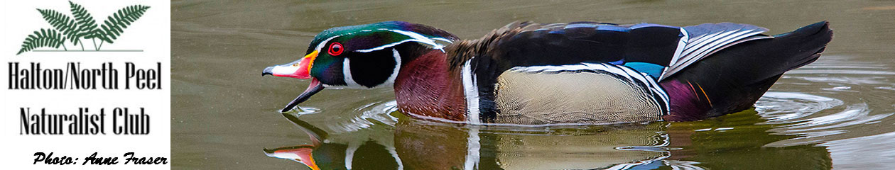 Halton North Peel Naturalist Club
