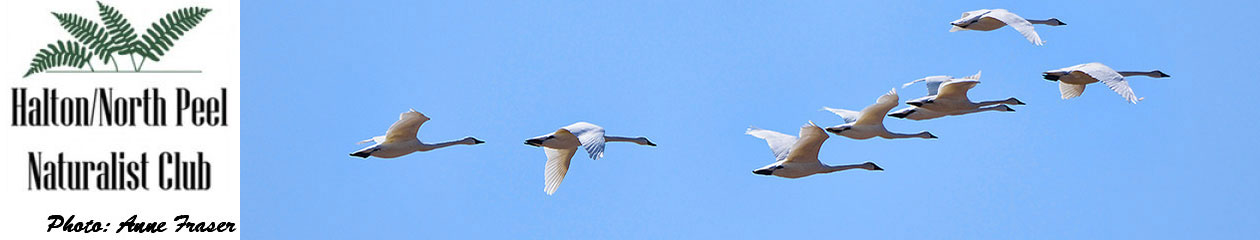 Halton North Peel Naturalist Club