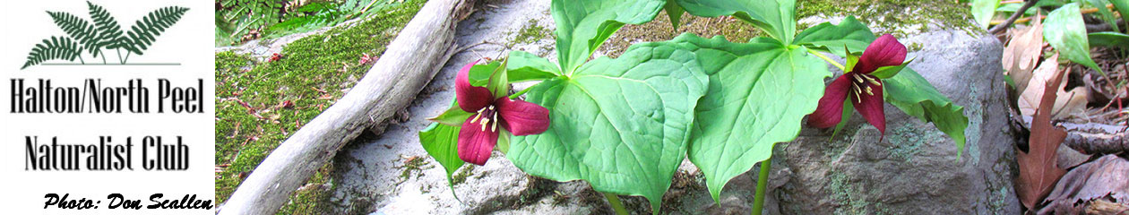 Halton North Peel Naturalist Club