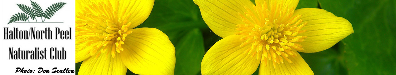 Halton North Peel Naturalist Club