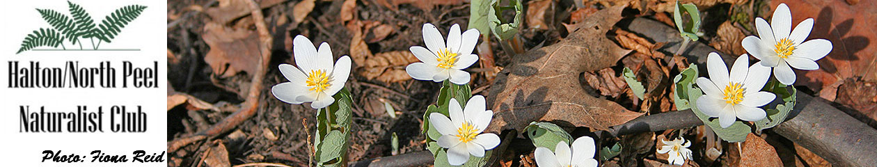 Halton North Peel Naturalist Club