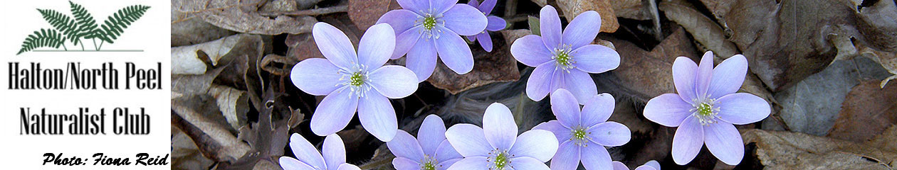 Halton North Peel Naturalist Club