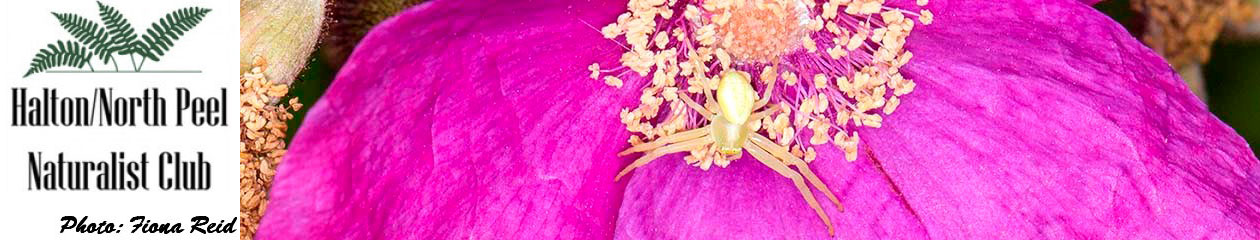 Halton North Peel Naturalist Club