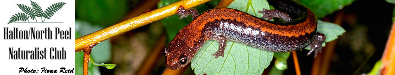 Halton North Peel Naturalist Club