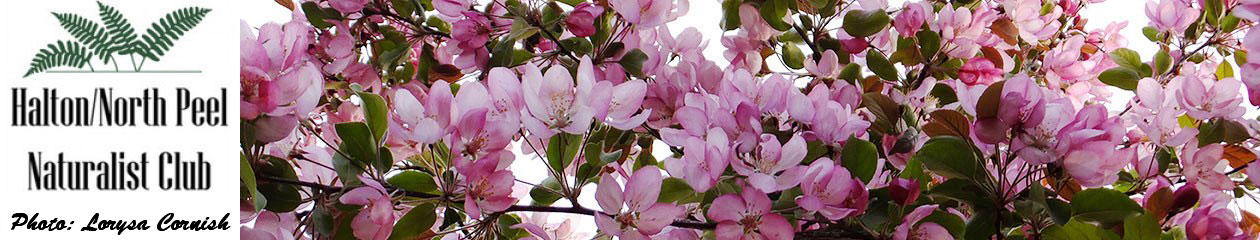 Halton North Peel Naturalist Club