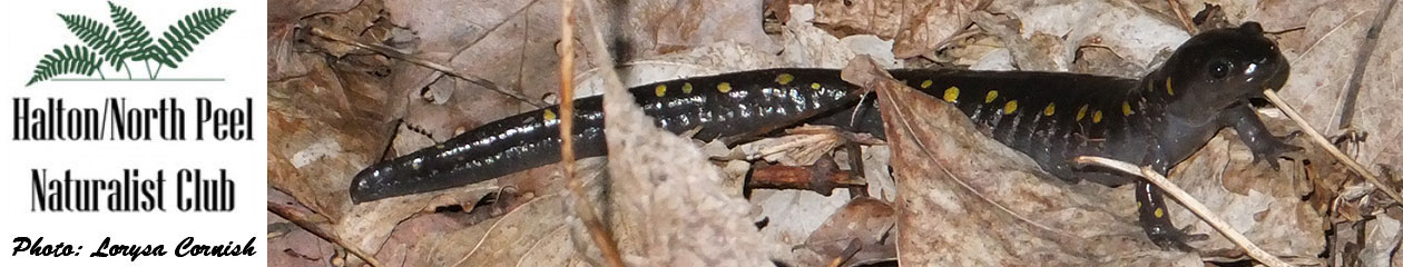 Halton North Peel Naturalist Club