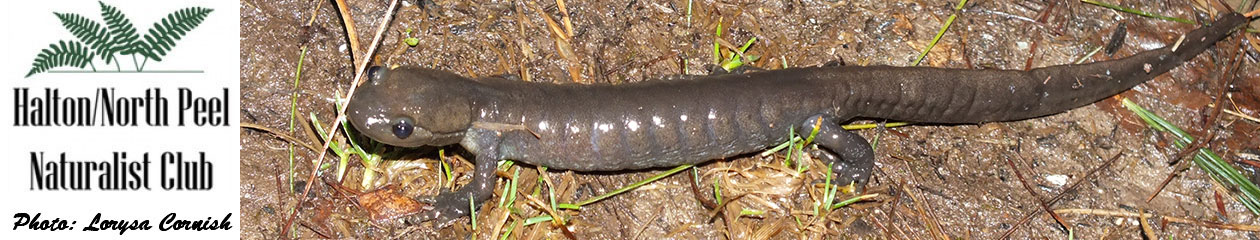 Halton North Peel Naturalist Club