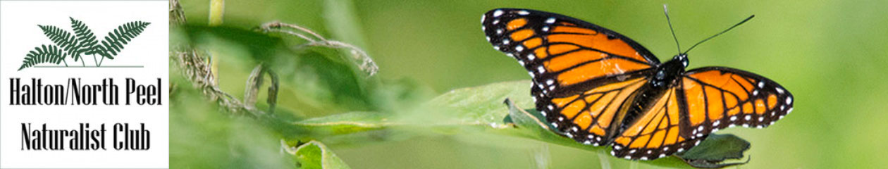 Halton North Peel Naturalist Club
